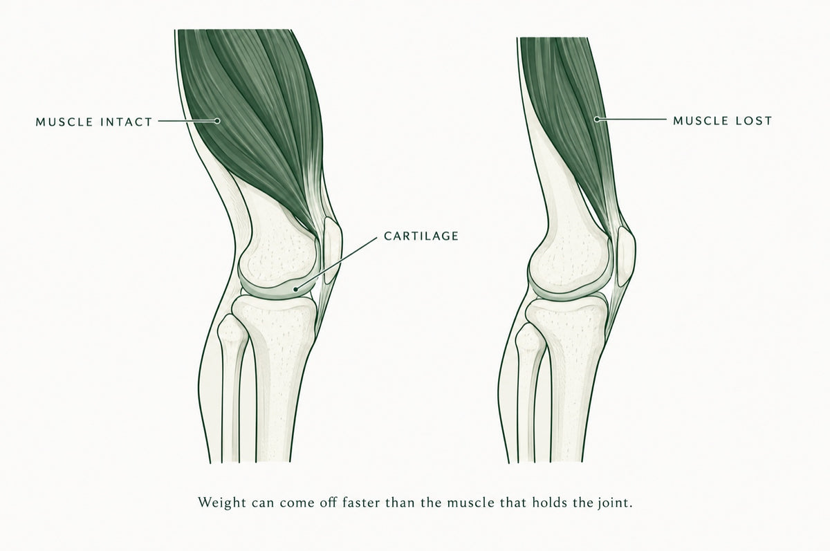 You're lighter. You're not steadier. That's the gap you can feel.