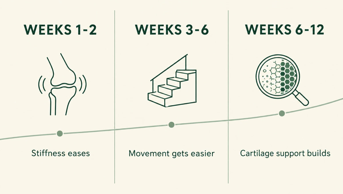 What actually happened, week by week